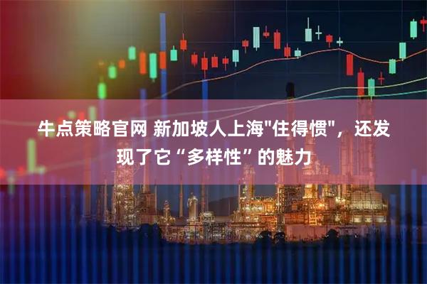 牛点策略官网 新加坡人上海"住得惯"，还发现了它“多样性”的魅力
