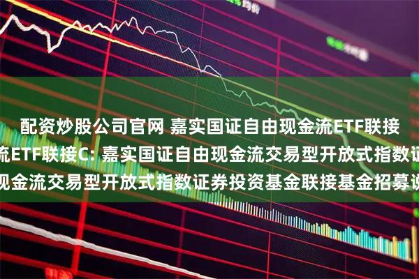 配资炒股公司官网 嘉实国证自由现金流ETF联接A,嘉实国证自由现金流ETF联接C: 嘉实国证自由现金流交易型开放式指数证券投资基金联接基金招募说明书