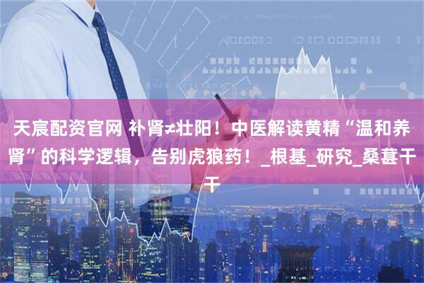 天宸配资官网 补肾≠壮阳!中医解读黄精“温和养肾”的科学逻辑,告别虎狼药!_根基_研究_桑葚干