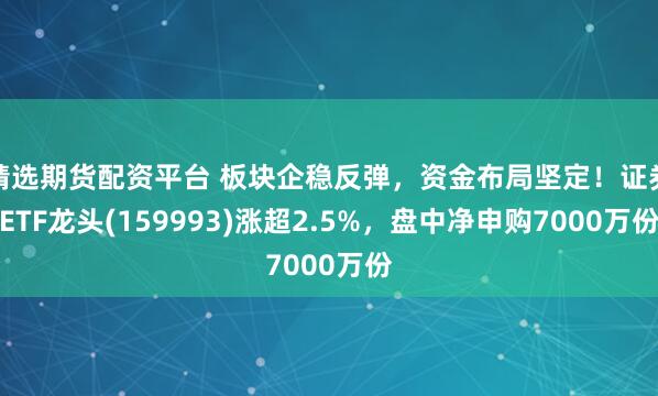 精选期货配资平台 板块企稳反弹，资金布局坚定！证券ETF龙头(159993)涨超2.5%，盘中净申购7000万份