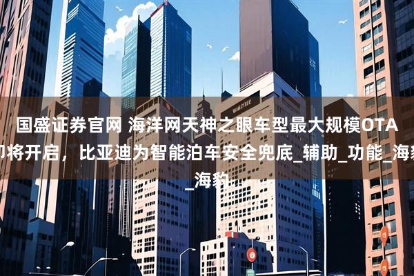国盛证券官网 海洋网天神之眼车型最大规模OTA即将开启，比亚迪为智能泊车安全兜底_辅助_功能_海豹